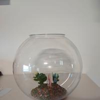 Acquario pesce rosso in pvc