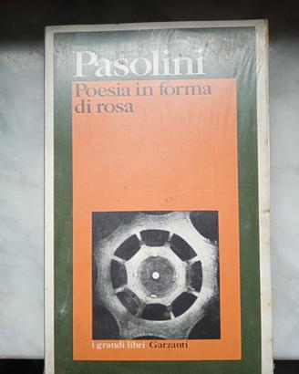 Libri di Pasolini Garzanti