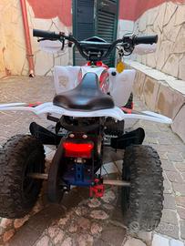 Quad elettrico