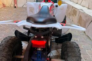 Quad elettrico