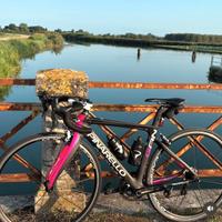 Bici da strada ciclismo Gran Gan Pinarello