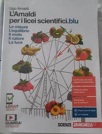 L'Amaldi per i licei scientifici,  Zanichelli. 