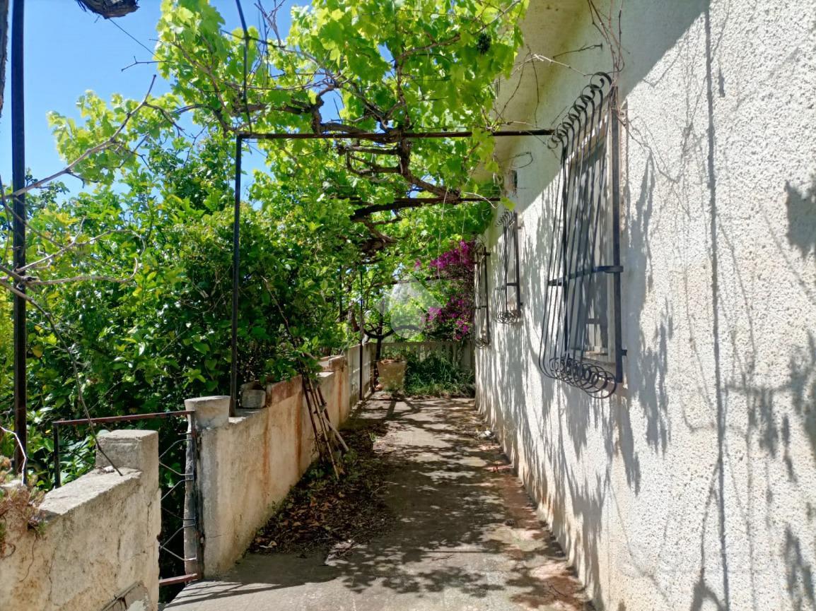 House in Mola di Bari, Bari - Vista 3