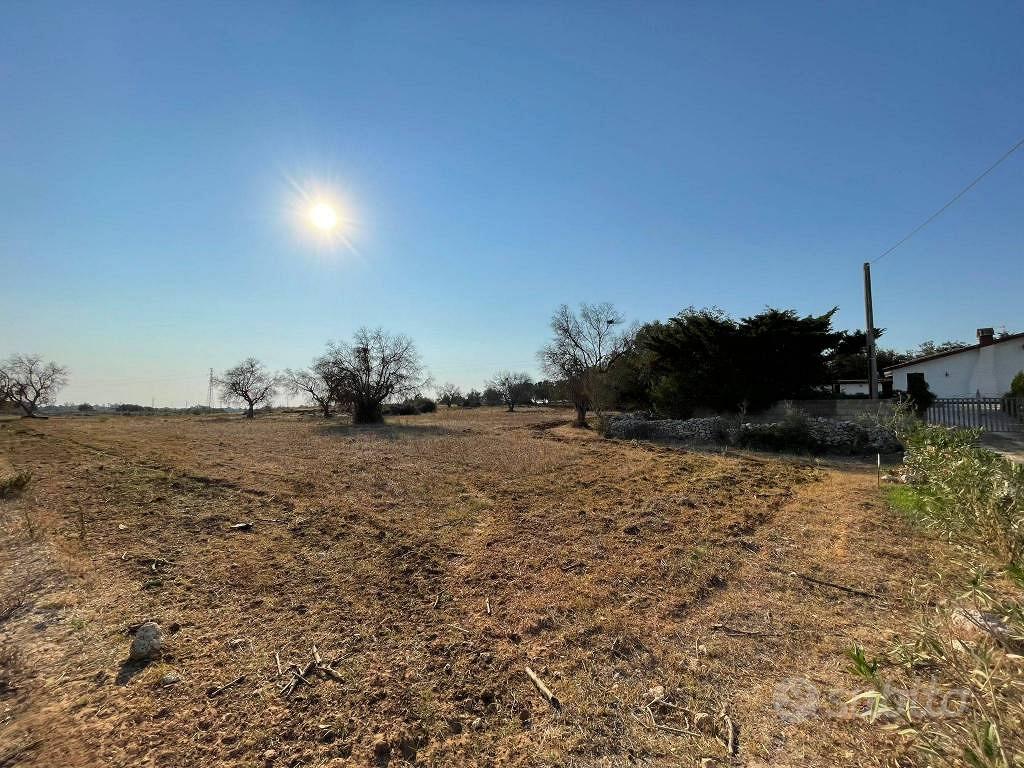 Terreno di 10042 m² a Carpignano Salentino - Vista 2