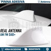 Antenna PINNA BIANCA per RENAULT VERO SEGNALE
