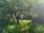 Immagine 26