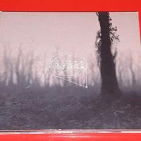 2 cd controllo del livello di rombo subsonica 2003