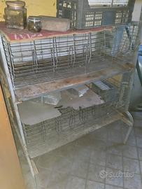 Gabbia per conigli da riproduzione 