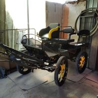 Maratona 6 Posti per cavallo