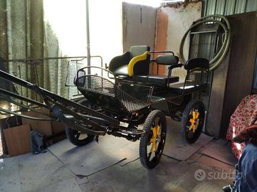 Maratona 6 Posti per cavallo