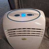 condizionatore tipo pinguino