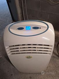 condizionatore tipo pinguino