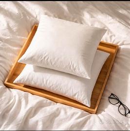 2 cuscini grandi 60x60 in piuma