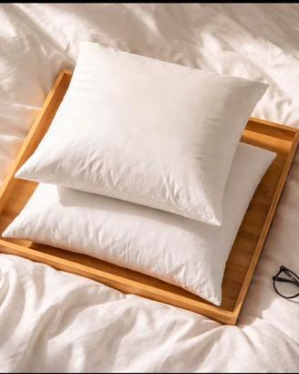 2 cuscini grandi 60x60 in piuma