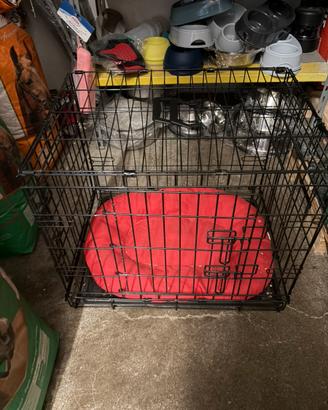 Kennel