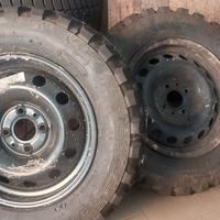 Gomme tasselate.