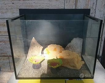 ACQUARIO 60x45x40cm 100lt allestito