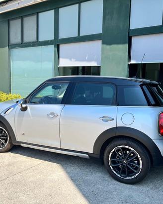 MINI COOPER DALL 4