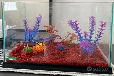Acquario