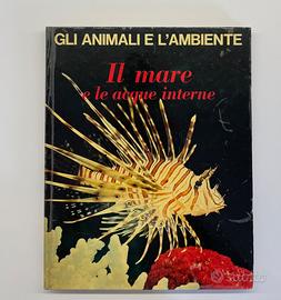 Il mare e le acque interne, Federica Colombo