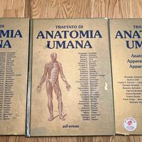 Giuseppe anastasi- Anatomia Umana Vol. 1-2-3