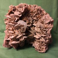 ROSA DEL DESERTO GIGANTE VINTAGE