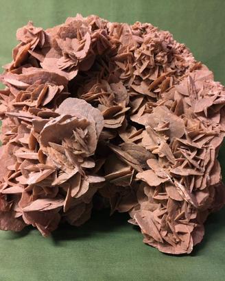 ROSA DEL DESERTO GIGANTE VINTAGE