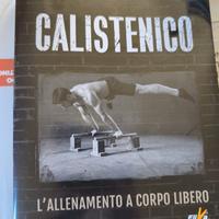 calistenico