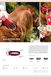 🐾   COLLARI   “Alp2 Canine Reflective Pro" ✨