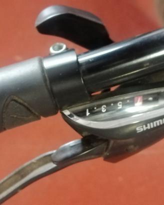 Bicicletta