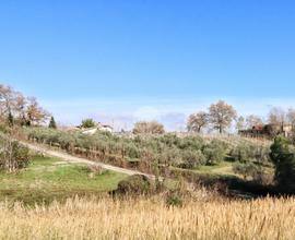 TER. AGRICOLO A CASALINCONTRADA