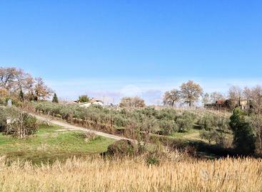 TER. AGRICOLO A CASALINCONTRADA