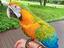 Immagine 1