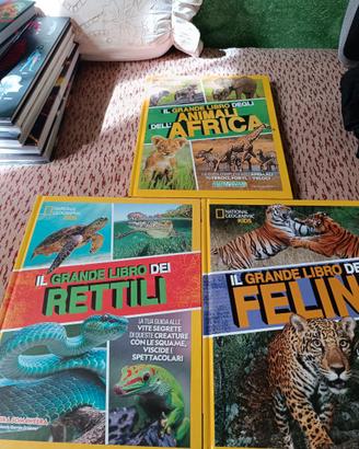 National Geographic Kids