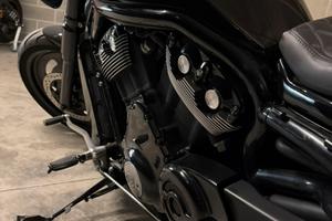 Harley -davison V-rod