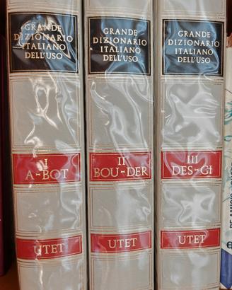 Grande Dizionario Italiano dell'Uso UTET 8 volumi