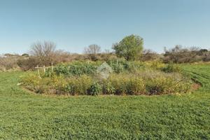 TER. AGRICOLO A TARQUINIA