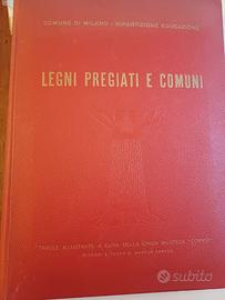 Legni Pregiati e comuni