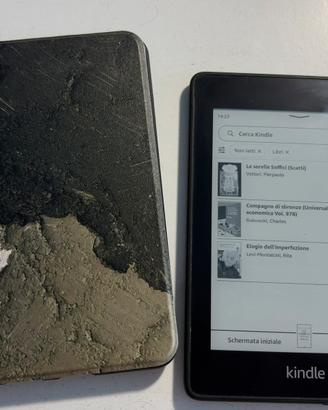 Kindle Paperwhite
