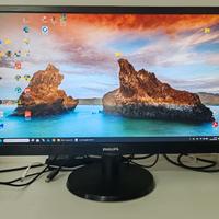 Monitor Philips 243V5L 24" Full HD