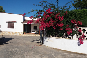 Stupenda villa a circa 6km da torre guaceto