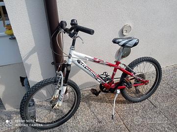 bicicletta bambino