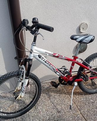 bicicletta bambino