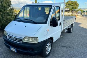 2005 Fiat Ducato 2.3 JTD 110cv 3Posti Cassonato