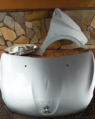 Pezzi di ricambio Peugeot 208