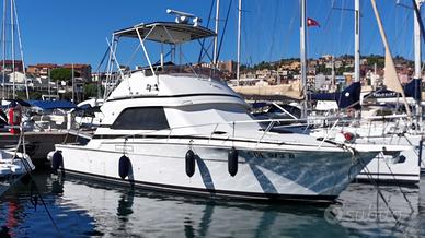 Bertram 37 Convertibile
