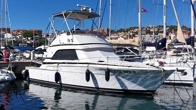 Bertram 37 Convertibile Ostia