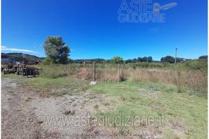 Terreno Agricolo Casole d'Elsa [A4350628]