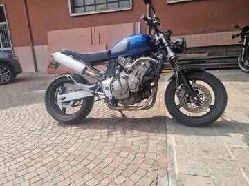 HONDA HORNET special “scrambler”