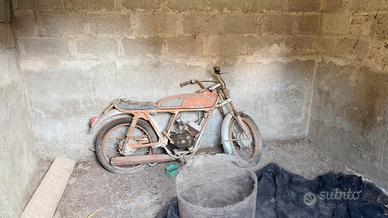 Testi Champion 50cc d'epoca